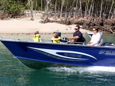 2025 SeaJay 453 Territory NexGen